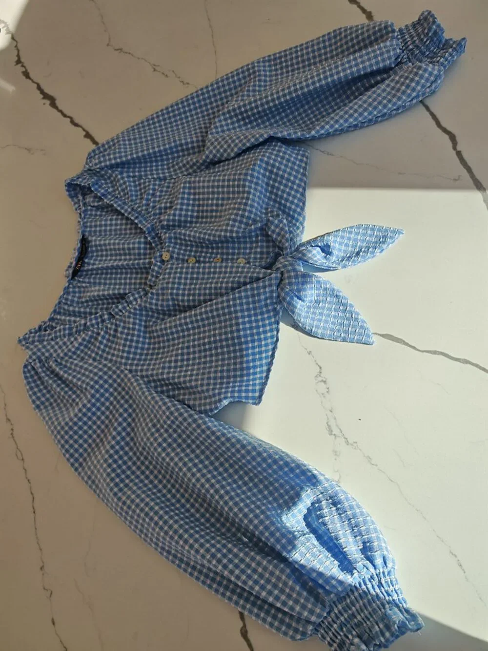Zara Gingham Tie Front Top L | Blue Puff Sleeve Cottagecore Crop Blouse
